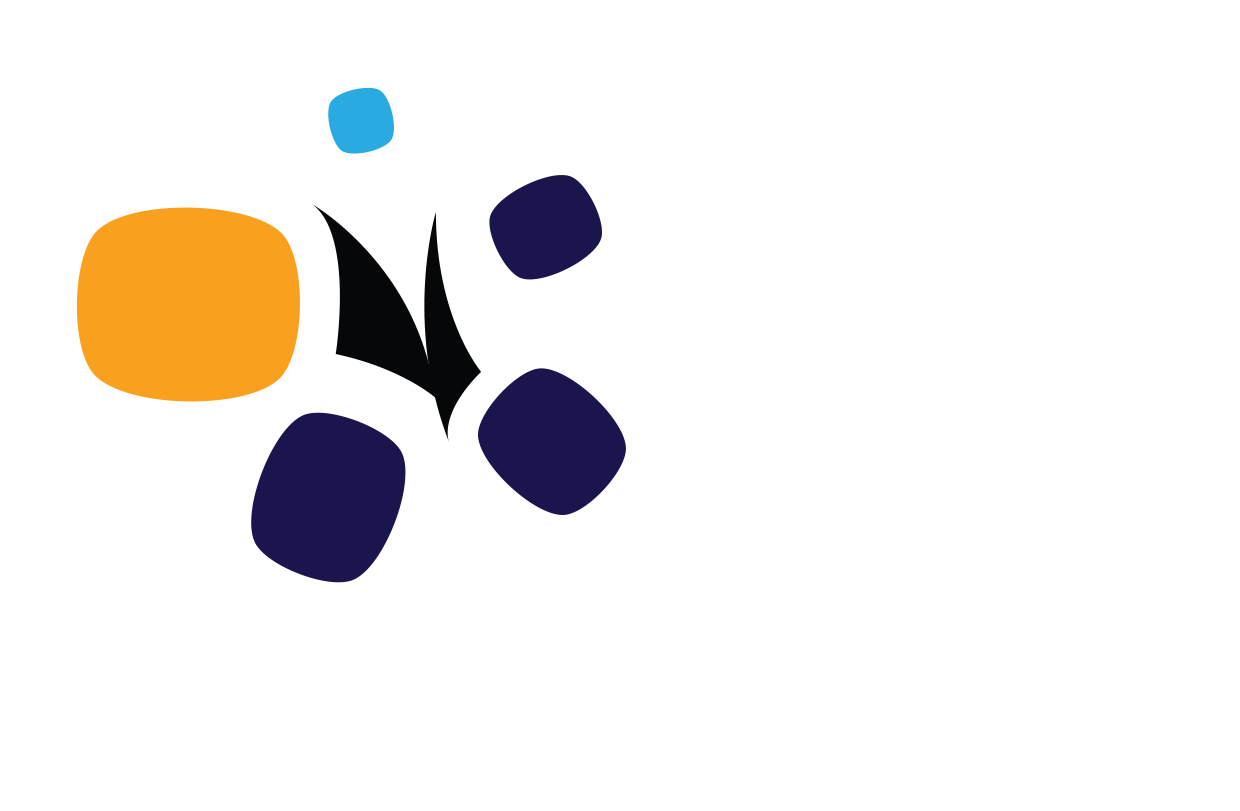 LPMI